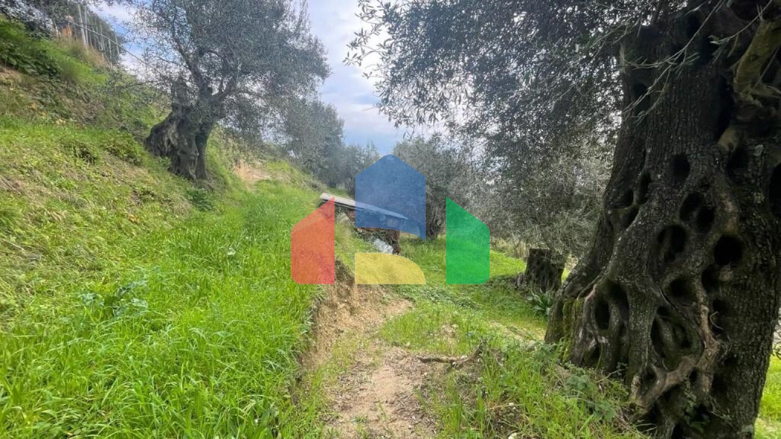 Продажа - Земельный участок 1700 m² на о. Корфу