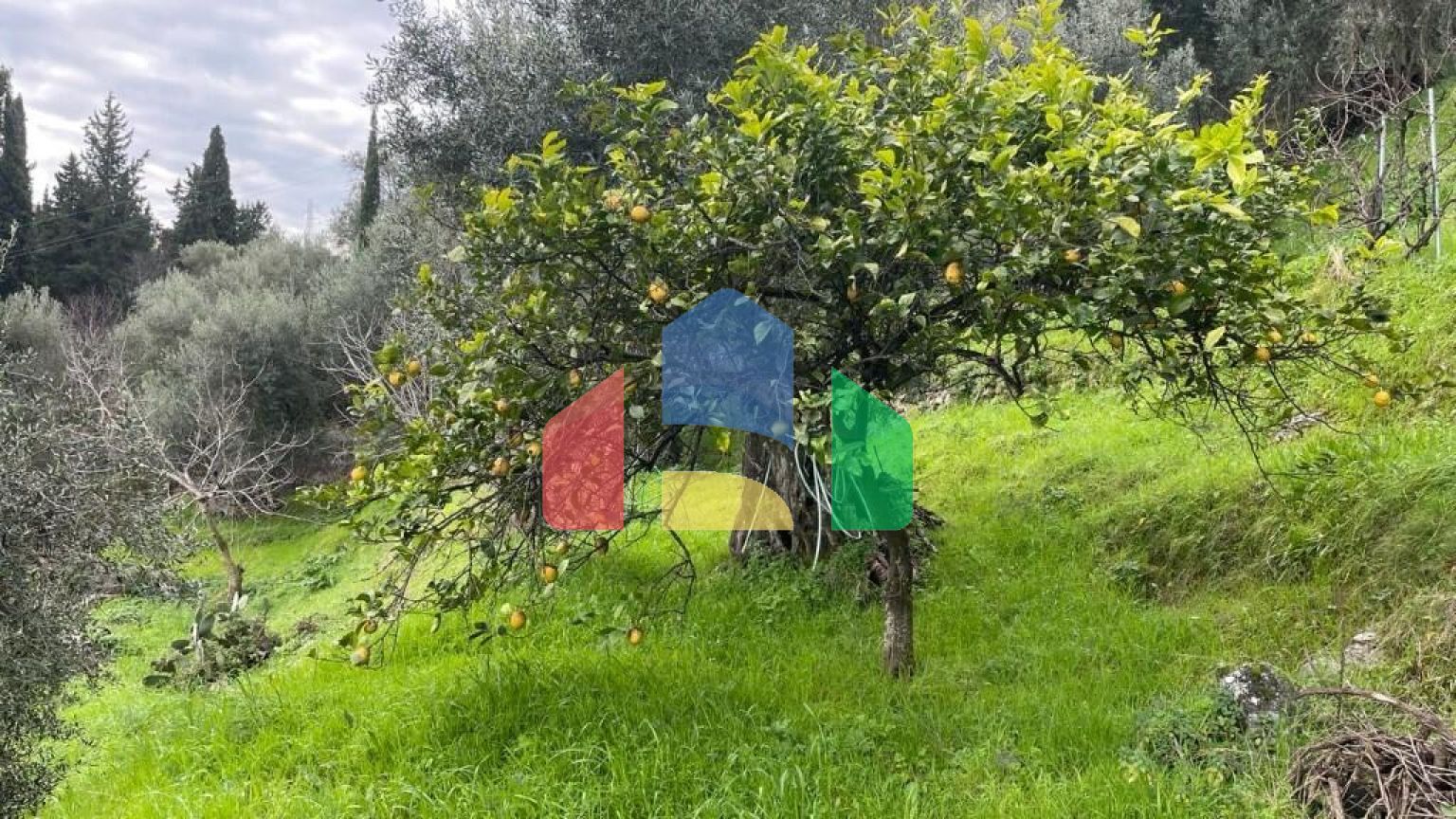 Продажа - Земельный участок 1700 m² на о. Корфу