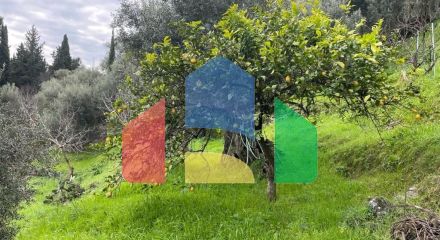 Продажа - Земельный участок 1700 m² на о. Корфу