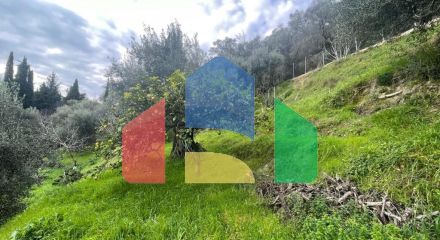 Продажа - Земельный участок 1700 m² на о. Корфу