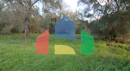 For Sale - Land 2500 m² in Corfu