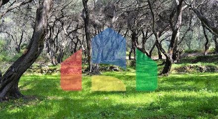 For Sale - Land 4000 m² in Corfu