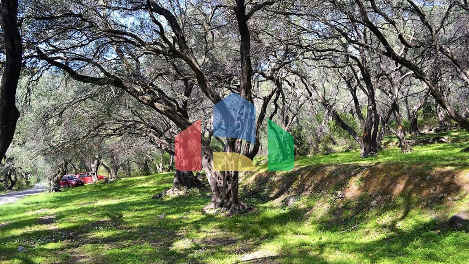 Продажа - Земельный участок 4000 m² на о. Корфу