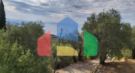 For Sale - Land 18000 m² in Corfu