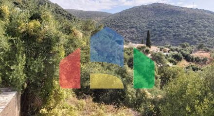 For Sale - Land 18000 m² in Corfu