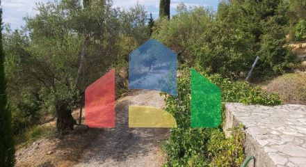 For Sale - Land 18000 m² in Corfu
