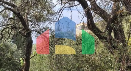 Продажа - Земельный участок 18000 m² на о. Корфу Продажа - Земельный участок 18000 m² на о. Корфу