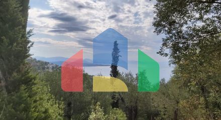 Продажа - Земельный участок 18000 m² на о. Корфу Продажа - Земельный участок 18000 m² на о. Корфу