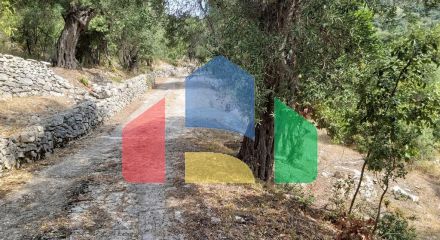 Продажа - Земельный участок 18000 m² на о. Корфу Продажа - Земельный участок 18000 m² на о. Корфу