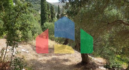 Продажа - Земельный участок 18000 m² на о. Корфу Продажа - Земельный участок 18000 m² на о. Корфу