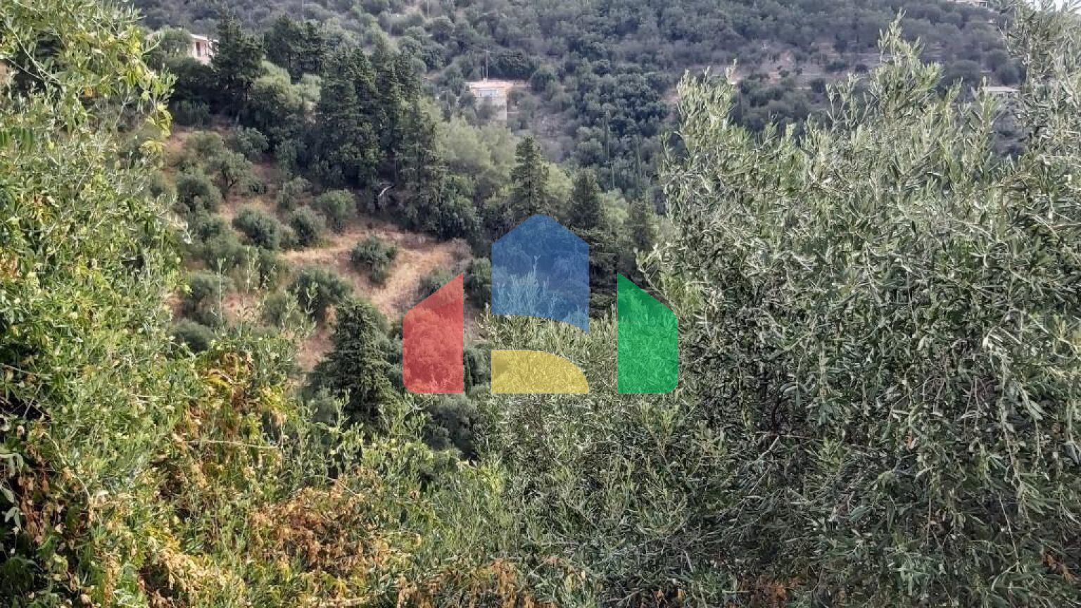 Продажа - Земельный участок 18000 m² на о. Корфу