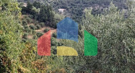 Продажа - Земельный участок 18000 m² на о. Корфу Продажа - Земельный участок 18000 m² на о. Корфу