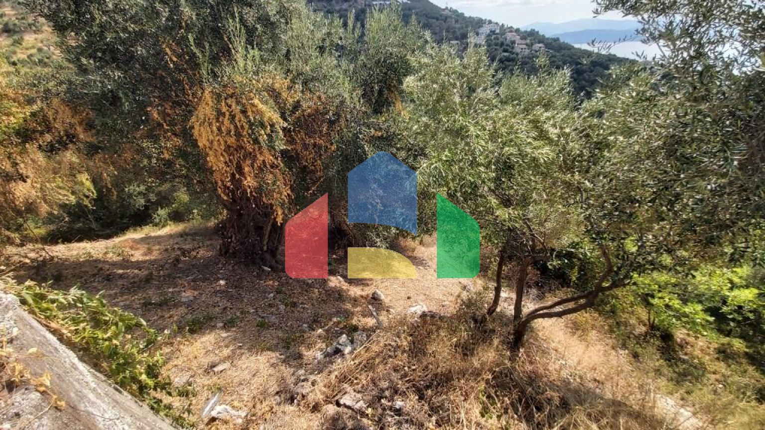 Продажа - Земельный участок 18000 m² на о. Корфу