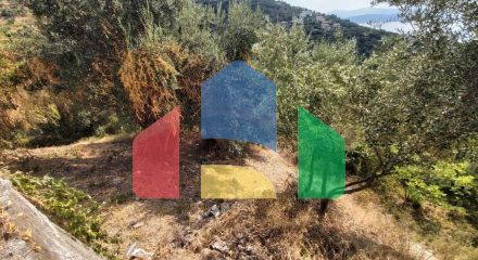 Продажа - Земельный участок 18000 m² на о. Корфу Продажа - Земельный участок 18000 m² на о. Корфу