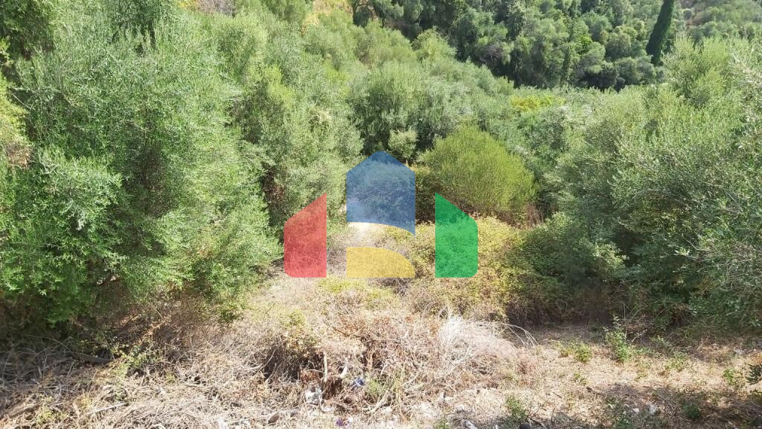 Продажа - Земельный участок 18000 m² на о. Корфу