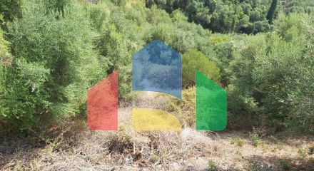 Продажа - Земельный участок 18000 m² на о. Корфу Продажа - Земельный участок 18000 m² на о. Корфу