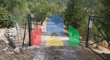 Продажа - Земельный участок 18000 m² на о. Корфу Продажа - Земельный участок 18000 m² на о. Корфу