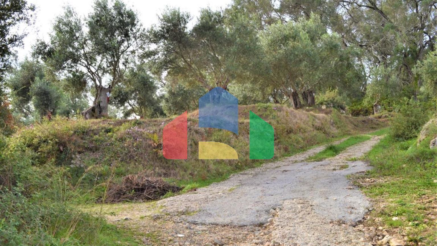 Продаж - Земельна ділянка 3136 m² на о. Корфу