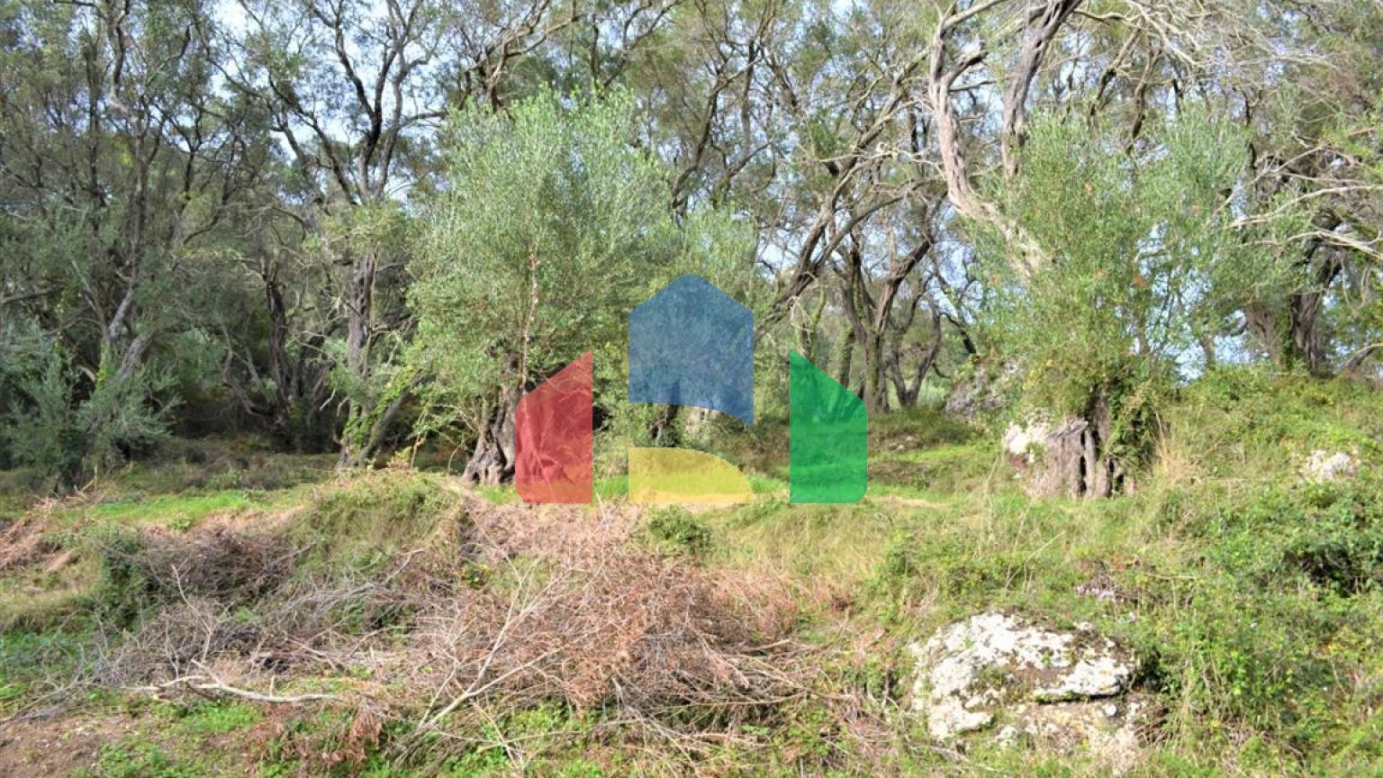 Продаж - Земельна ділянка 3136 m² на о. Корфу