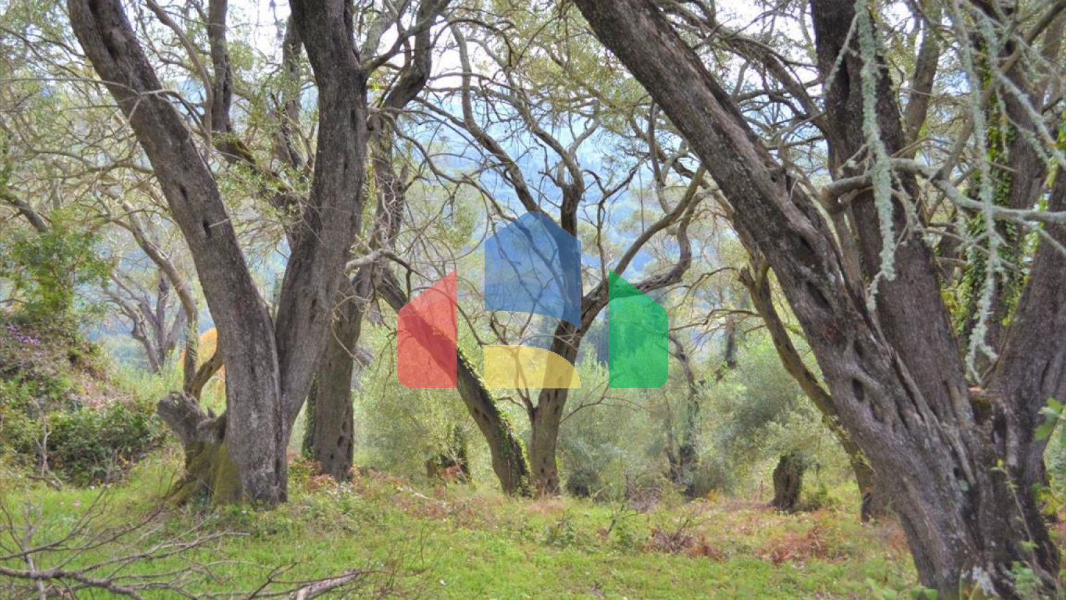 Продаж - Земельна ділянка 3136 m² на о. Корфу