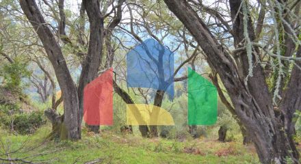 Продаж - Земельна ділянка 3136 m² на о. Корфу