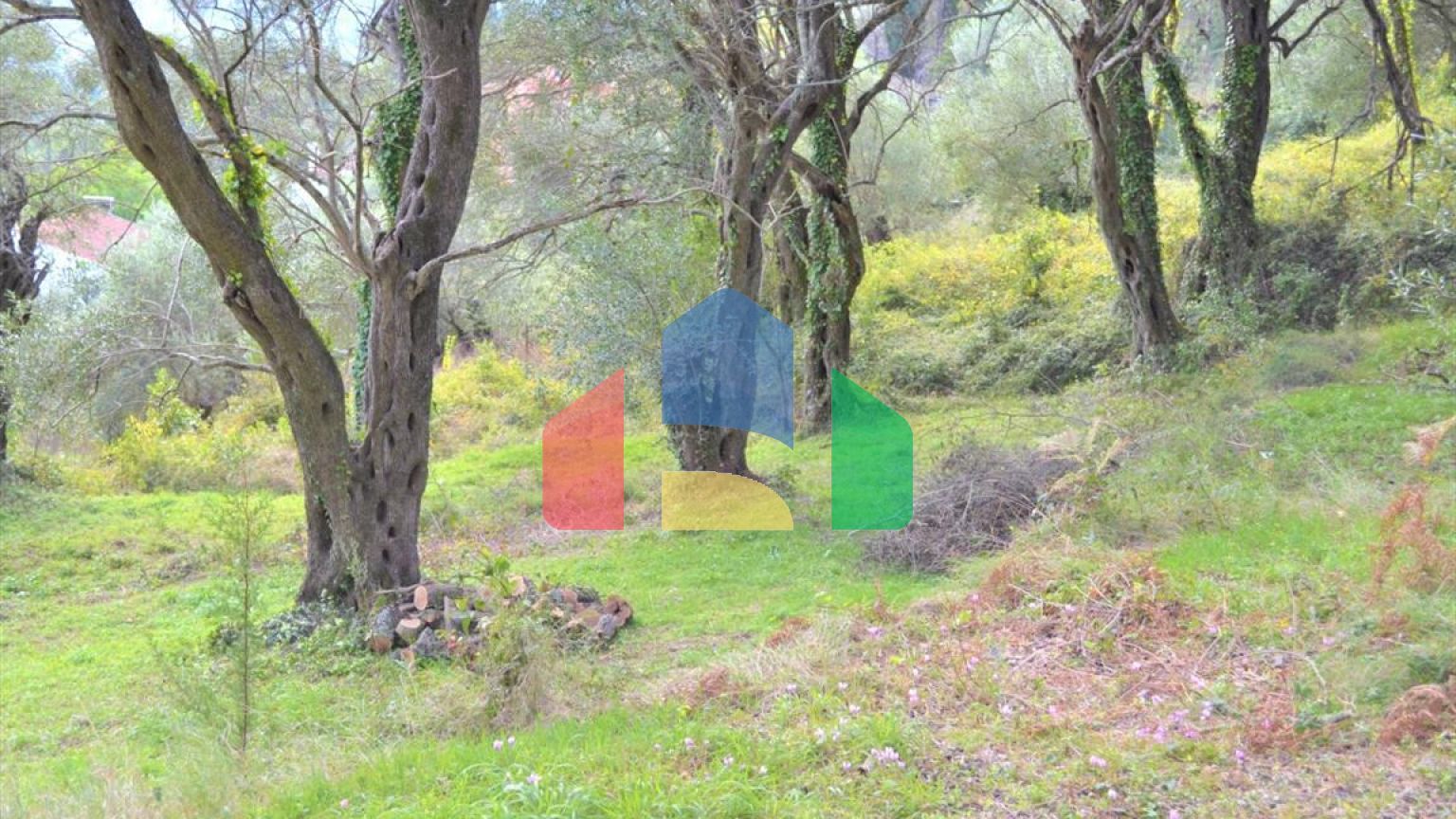 Продаж - Земельна ділянка 3136 m² на о. Корфу