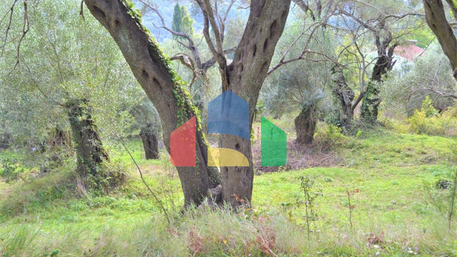 Продаж - Земельна ділянка 3136 m² на о. Корфу