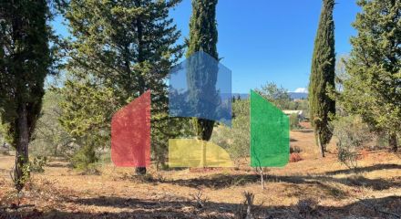 For Sale - Land 2500 m² in Corfu