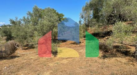 For Sale - Land 2500 m² in Corfu