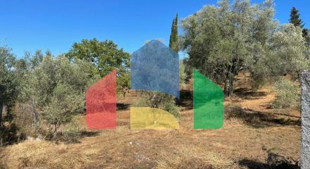 For Sale - Land 2500 m² in Corfu