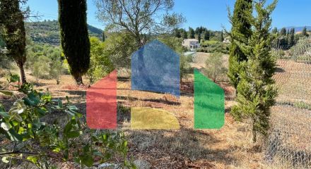 For Sale - Land 2500 m² in Corfu