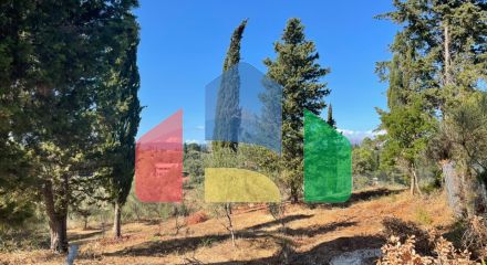 Продажа - Земельный участок 2500 m² на о. Корфу