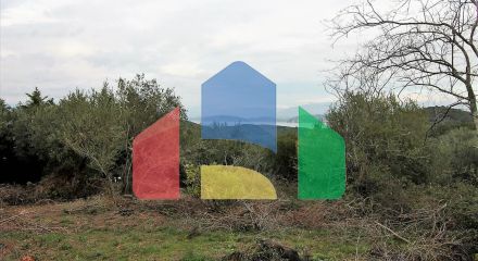 Продажа - Земельный участок 5500 m² на о. Корфу