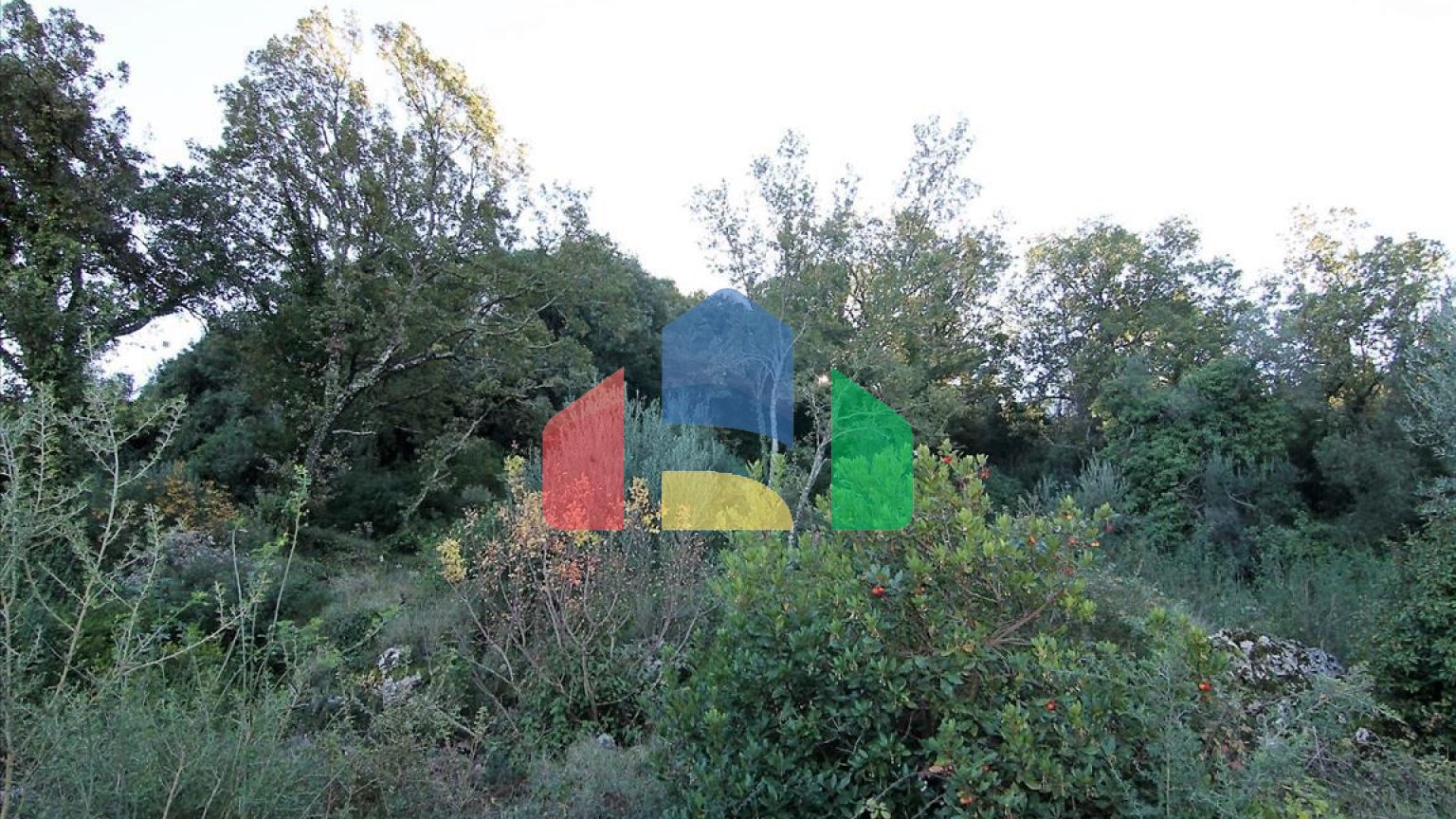 Продажа - Земельный участок 9000 m² на о. Корфу