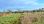 For Sale - Land 2500 m² in Corfu