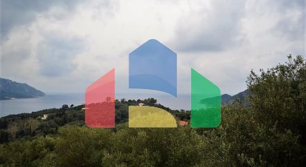Продаж - Земельна ділянка 6000 m² на о. Корфу