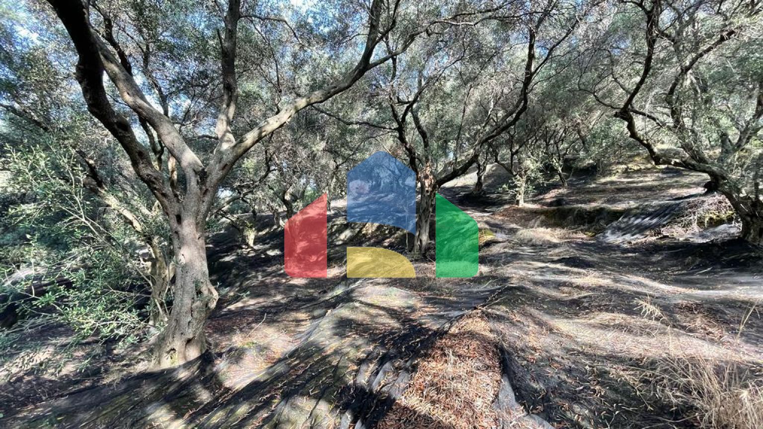 Продажа - Земельный участок 12000 m² на о. Корфу