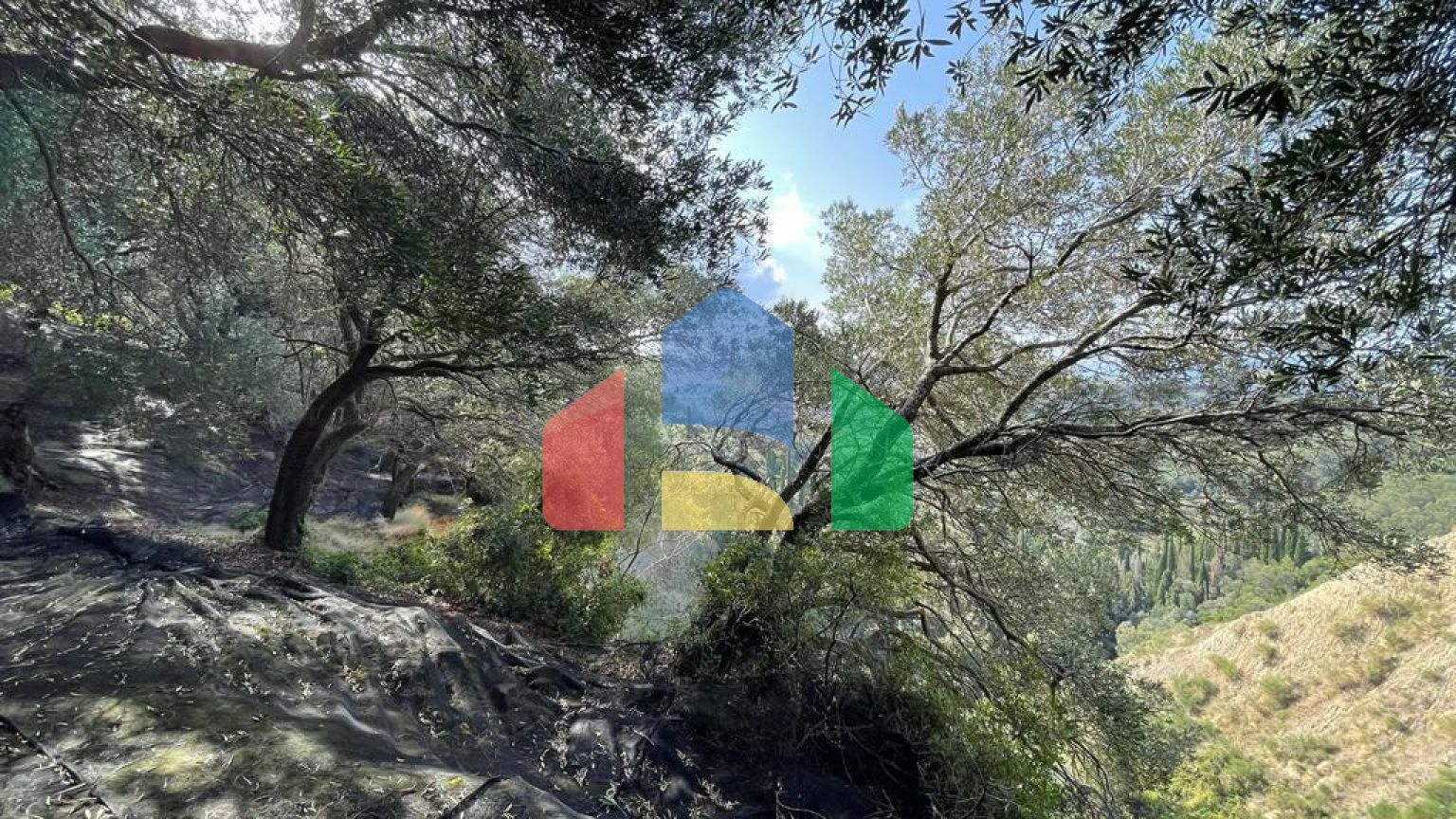 Продажа - Земельный участок 12000 m² на о. Корфу