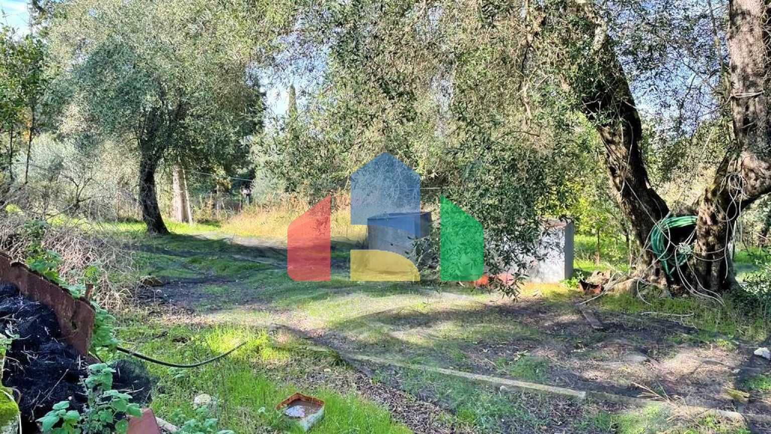 Продаж - Котедж 190 m² на о. Корфу