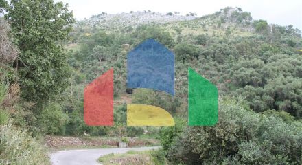 For Sale - Land 7000 m² in Corfu