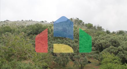 For Sale - Land 7000 m² in Corfu