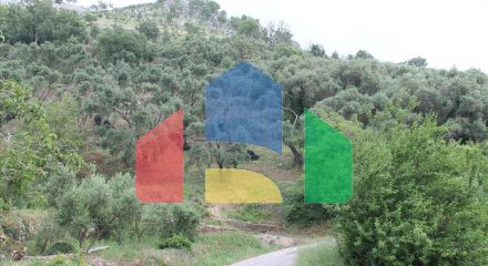 For Sale - Land 7000 m² in Corfu