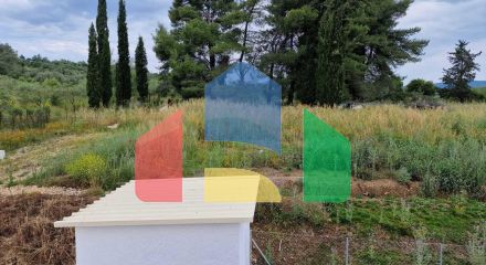 Продажа - Земельный участок 3500 m² на о. Корфу