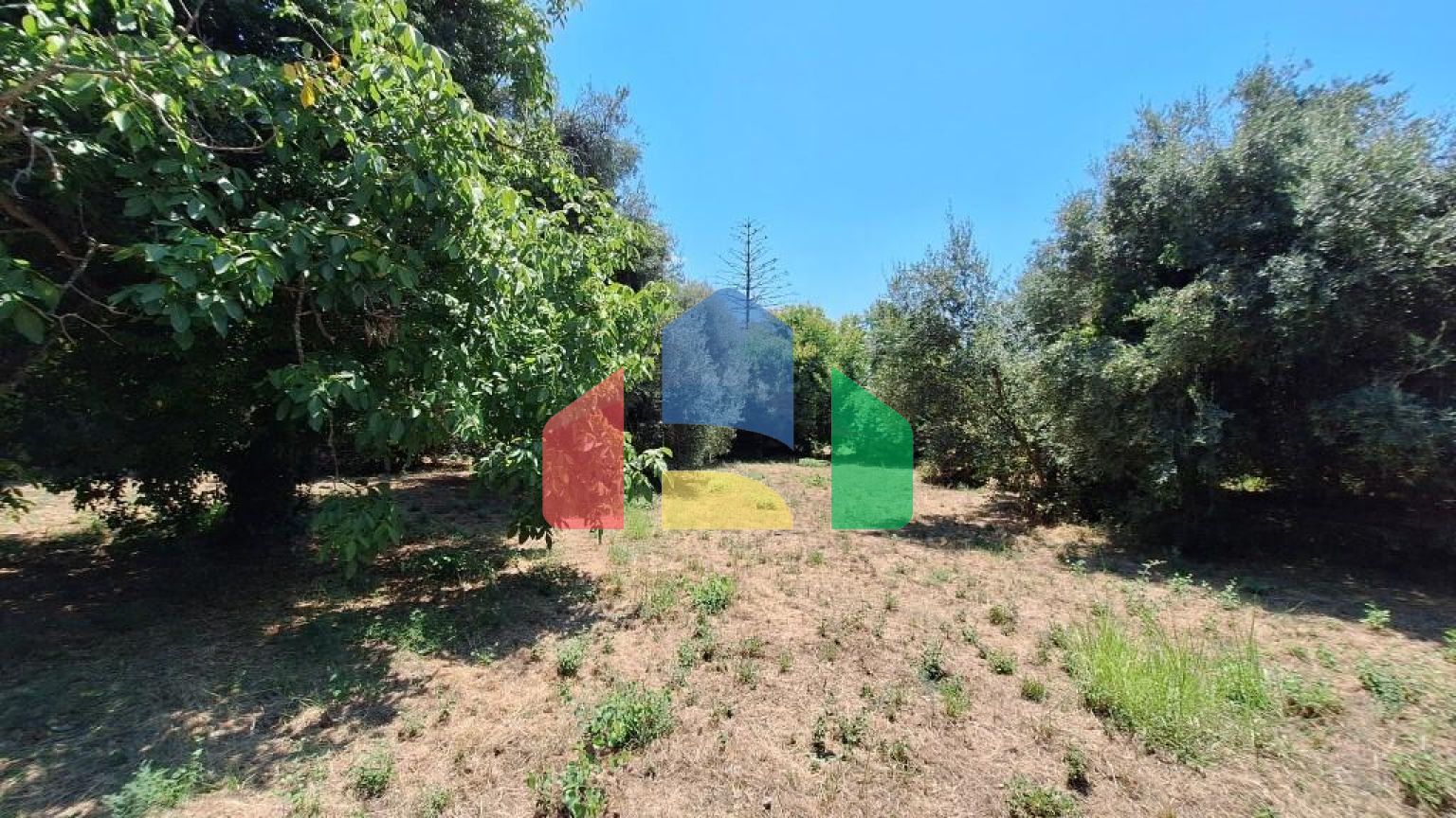 Продажа - Земельный участок 4600 m² на о. Корфу