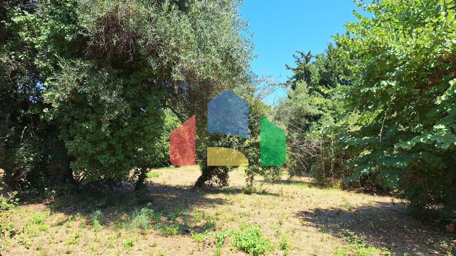 Продажа - Земельный участок 4600 m² на о. Корфу