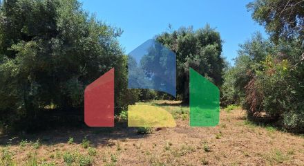 Продажа - Земельный участок 4600 m² на о. Корфу