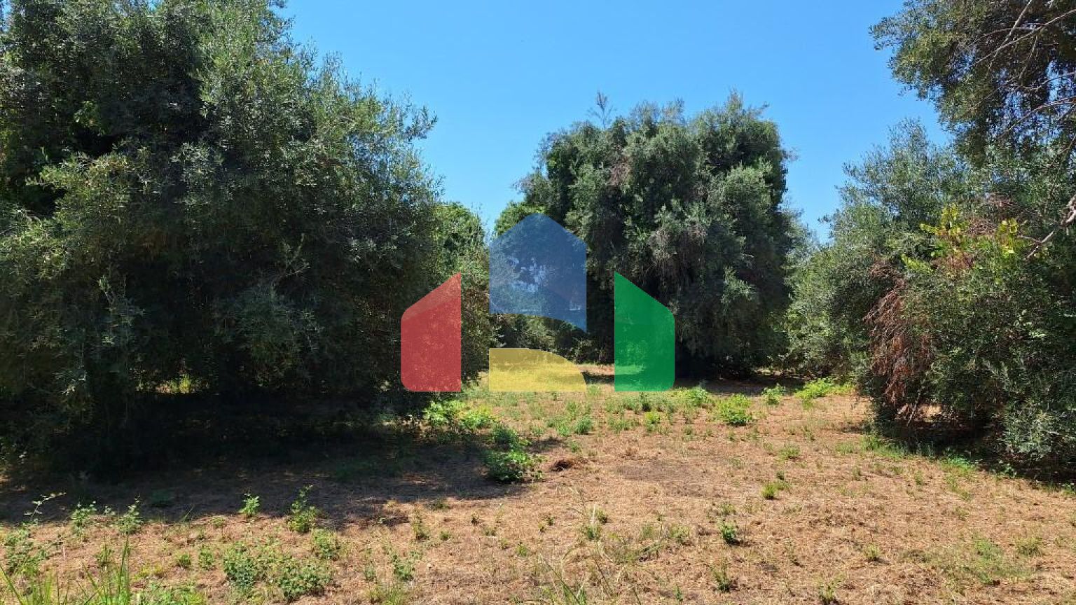 Продажа - Земельный участок 4600 m² на о. Корфу