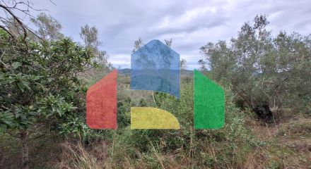 Продажа - Земельный участок 5000 m² на о. Корфу