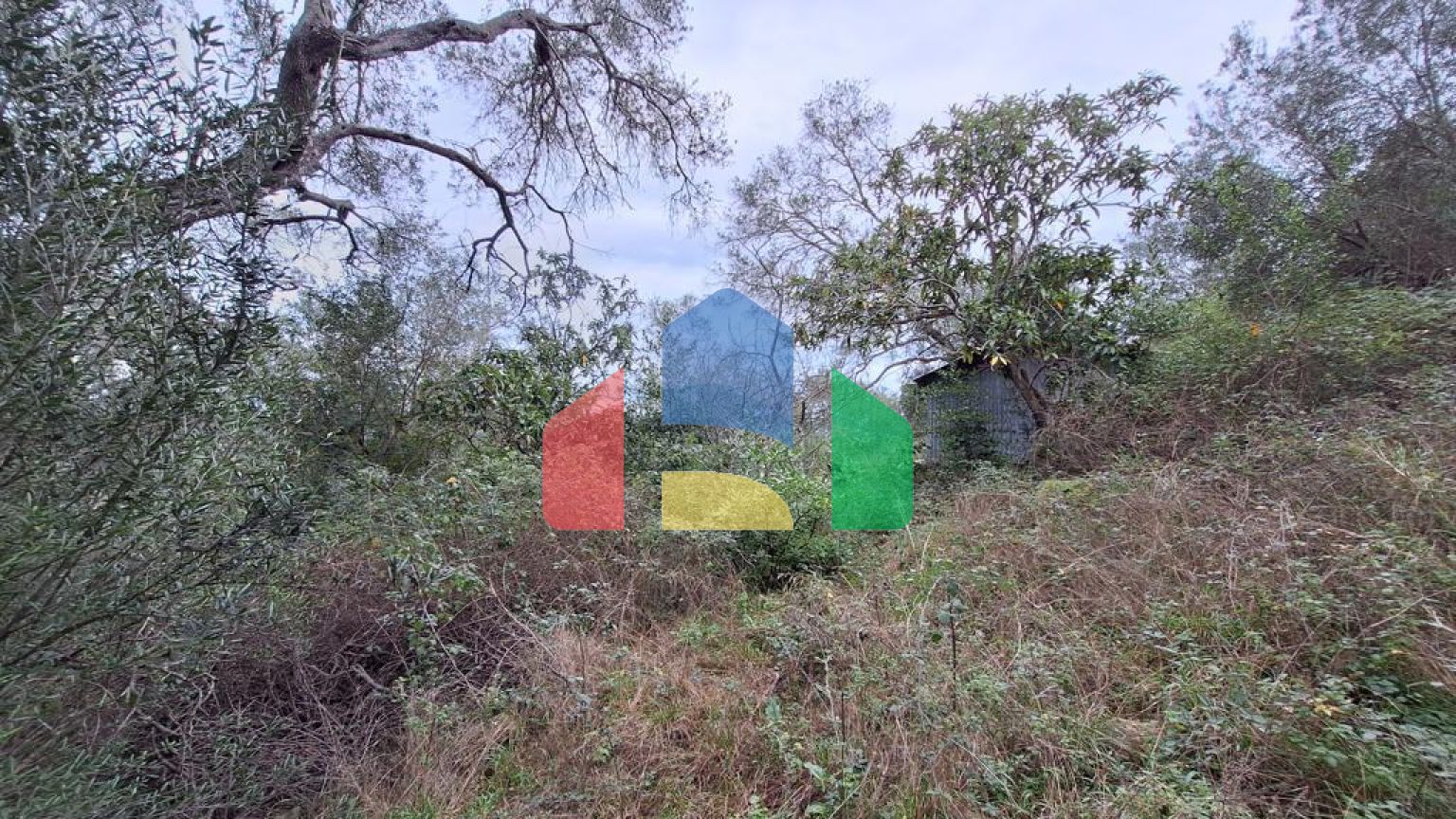 Продажа - Земельный участок 5000 m² на о. Корфу