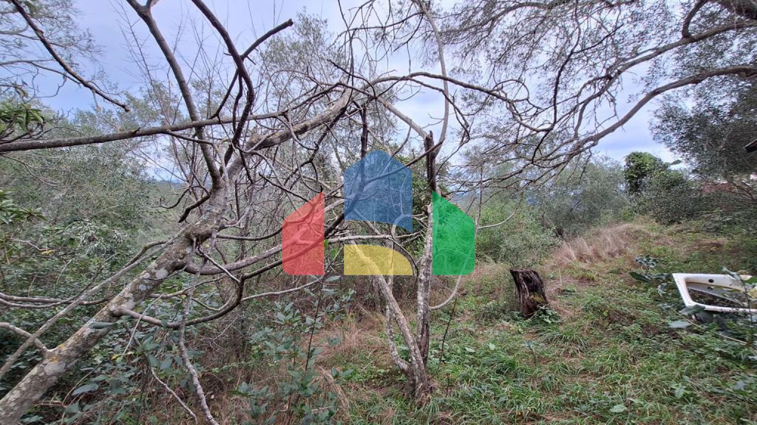 Продажа - Земельный участок 5000 m² на о. Корфу